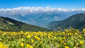 Kullu Manali Tour Package